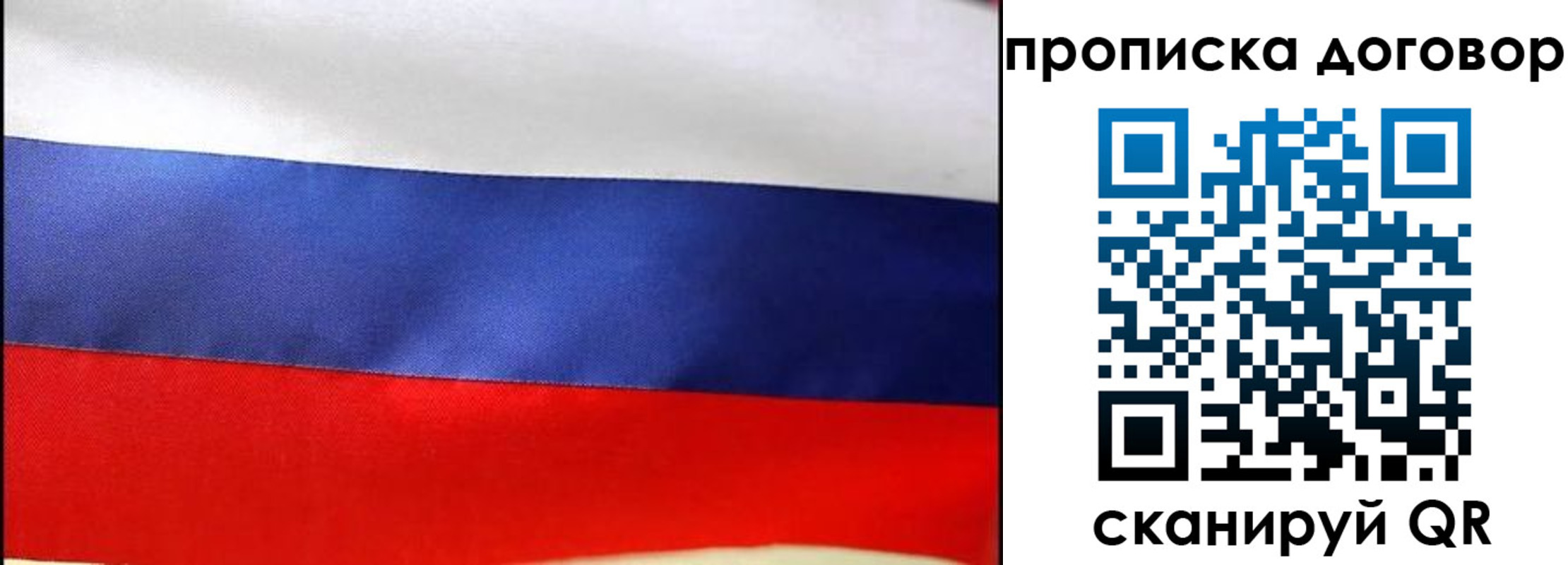 прописка гарантия в Пересвете